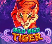 Wild Wild Tiger Wild Wild Tiger